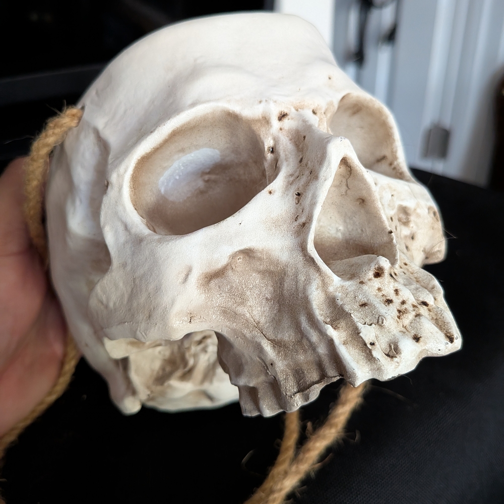 Hanging Skull Planter - Large - Picture 6 of 8